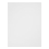 Zoe Cute Tekenfilm Kat Grappige Kat Meme Schattig 