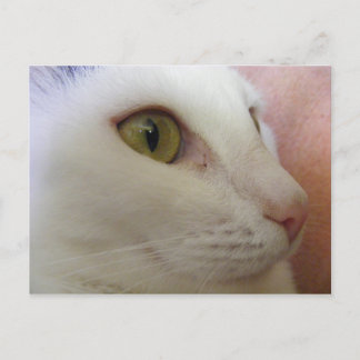 Zoe denkt na. briefkaart