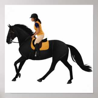 Zoe en Raven van Free Rein Equine Rampaige Poster