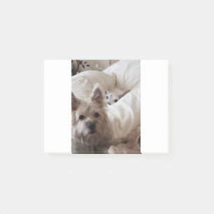 Zoe en Yoda Post-it® Notes