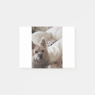 Zoe en Yoda Post-it® Notes