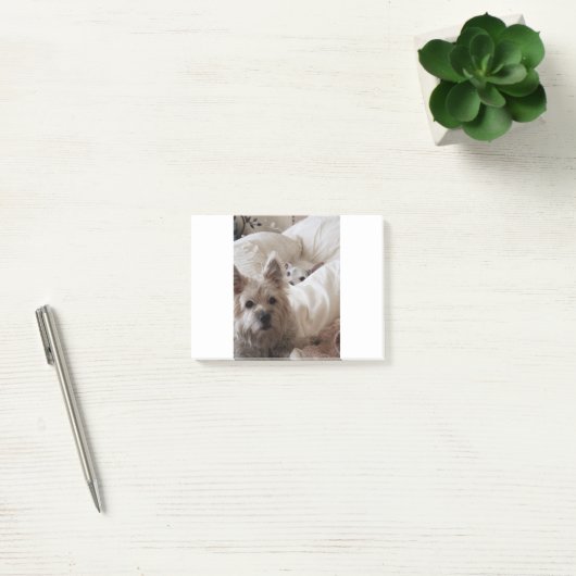 Zoe en Yoda Post-it® Notes (Kantoor)