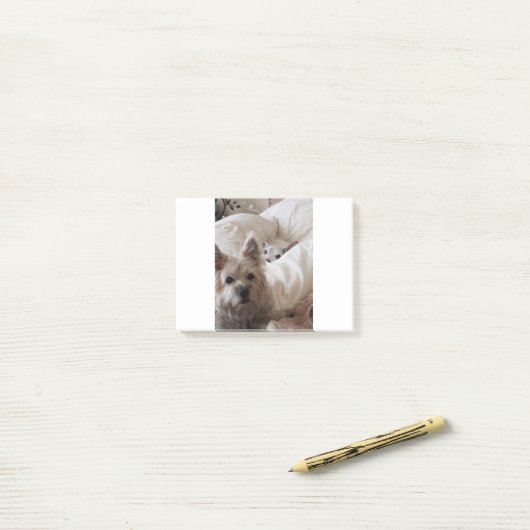 Zoe en Yoda Post-it® Notes (Op bureau)