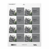 Zoe Kat met Bril Grijs Adreslabel Etiket (Full Sheet)