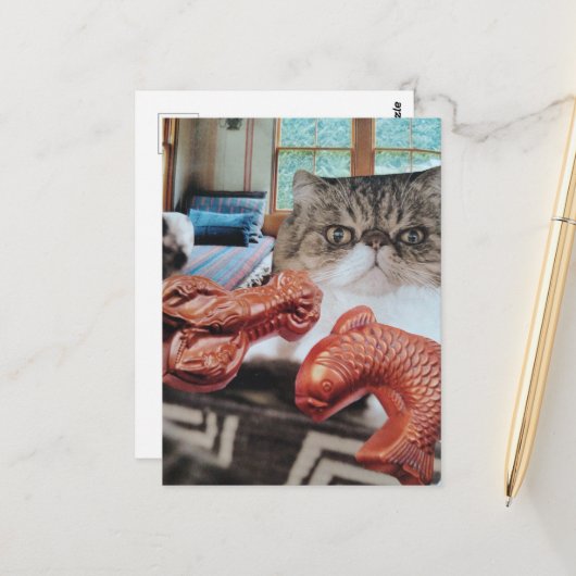 Zoe Kat Met Kreeft en Vis Collage Briefkaart (Voorkant / Achterkant in situ)