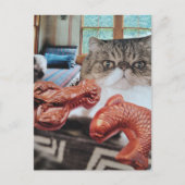 Zoe Kat Met Kreeft en Vis Collage Briefkaart (Voorkant)