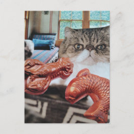 Zoe Kat Met Kreeft en Vis Collage Briefkaart