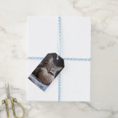 Zoe Kat Tabby Kitten Garens Hart Valentijn Van Voo Cadeaulabel (Met Touw)