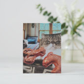 Zoe Kitten Met Kreeft en Vis Collage Briefkaart (Staand voorkant)