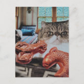 Zoe Kitten Met Kreeft en Vis Collage Briefkaart (Voorkant)