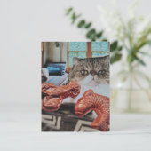 Zoe Kitten Met Kreeft en Vis Collage Briefkaart (Staand voorkant)