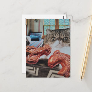 Zoe Kitten Met Kreeft en Vis Collage Briefkaart