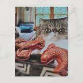 Zoe Kitten Met Kreeft en Vis Collage Briefkaart (Voorkant)