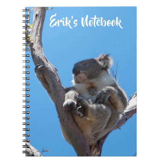 Zoe Koala Slaapt in een Boom Australië Notitieboek (Voorkant)