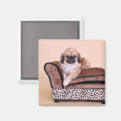 Zoe - Pekingese Magneet (Voorkant / Achterkant)