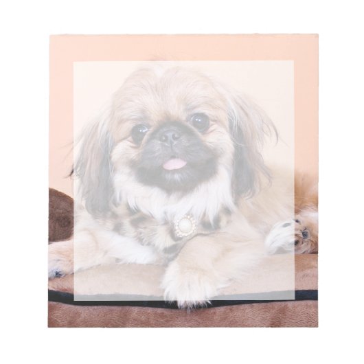Zoe - Pekingese Notitieblok (Voorkant)