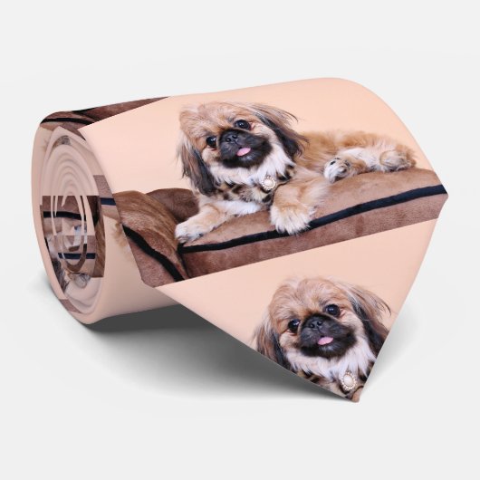 Zoe - Pekingese Stropdas (Opgerold)