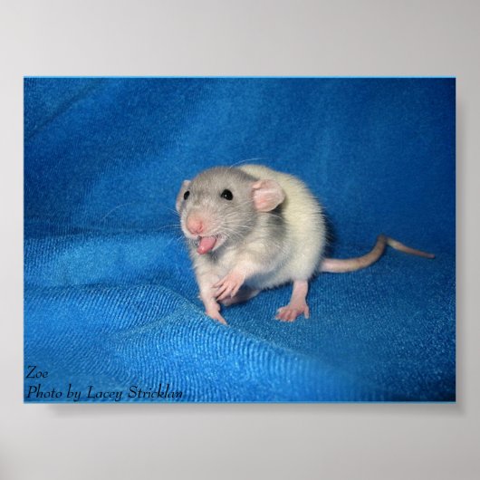 Zoe Poster (Voorkant)