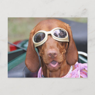 Zoe Ready to Ride Briefkaart