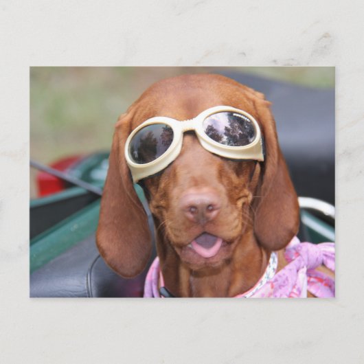 Zoe Ready to Ride Briefkaart (Voorkant)