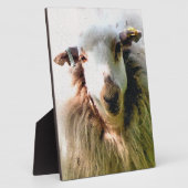 ZOEIEN SCHAAP FOTOPLAAT (Zijkant)