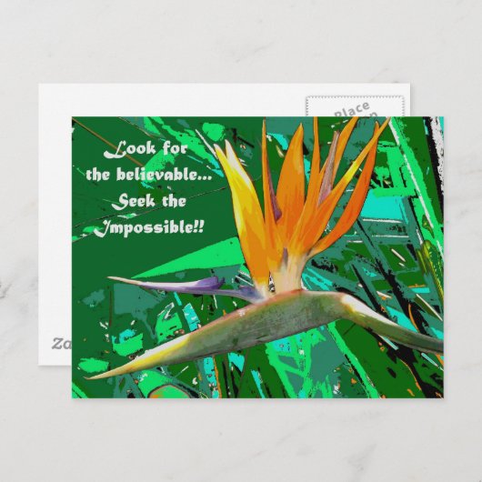 Zoek... Briefkaart (Voorkant / Achterkant)