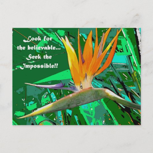 Zoek... Briefkaart (Voorkant)