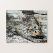 Zoek de Owl Legpuzzel (Horizontaal)