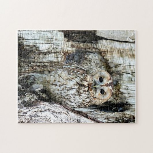 Zoek de Owl Legpuzzel (Horizontaal)
