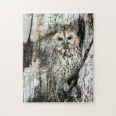 Zoek de Owl Legpuzzel (Verticaal)