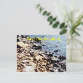 Zoek de Shorebird... Briefkaart (Staand voorkant)