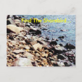 Zoek de Shorebird... Briefkaart (Voorkant)