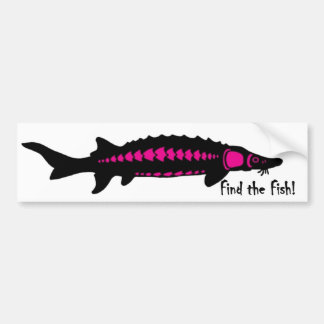 zoek de vis, PINK2 Bumpersticker