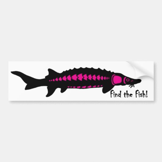 zoek de vis, PINK2 Bumpersticker (Voorkant)