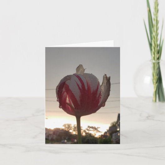 Zoek een baan, Hippie Kaart (Voorkant)