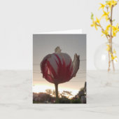 Zoek een baan, Hippie Kaart (Gele Bloem)