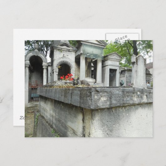 Zoek een kat! briefkaart (Voorkant / Achterkant)