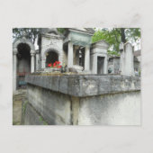 Zoek een kat! briefkaart (Voorkant)