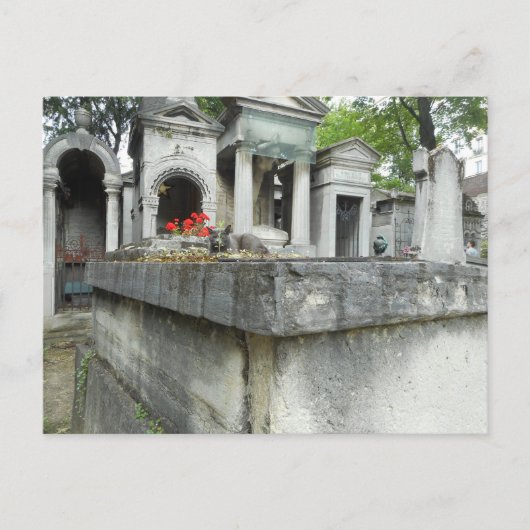 Zoek een kat! briefkaart (Voorkant)