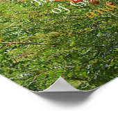 Zoek eerst het Koninkrijk God. Poster (Hoek)