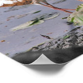 Zoek eerst het koninkrijk van Gods Schrift Poster (Hoek)