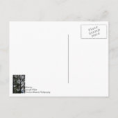 Zoek en je zult denken aan je Briefkaart (Achterkant)