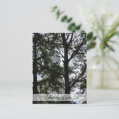 Zoek en je zult denken aan je Briefkaart (Staand voorkant)