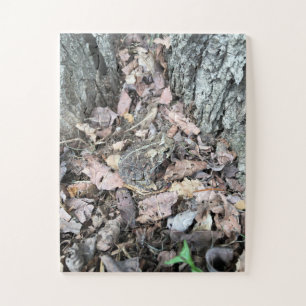 Zoek en ontdek een overmaatse puzzel met 30 stuks,