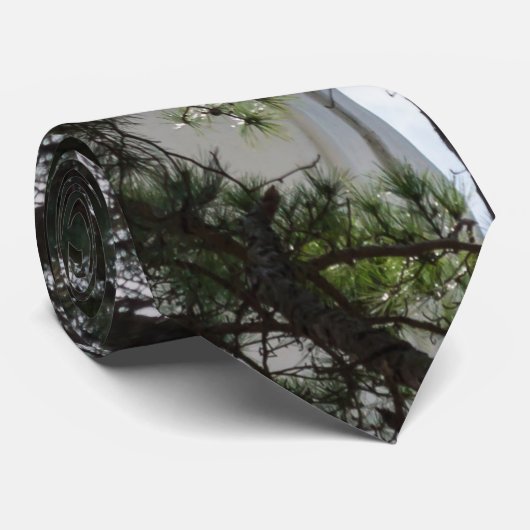 Zoek en vind me Stropdas (Opgerold)