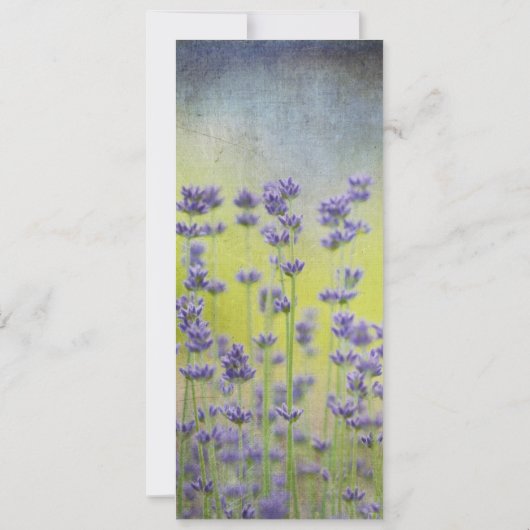 Zoek het dagelijkse Bladwijzer (Achterkant)