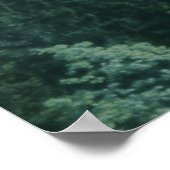 Zoek je eigen land, groen bergbos poster (Hoek)