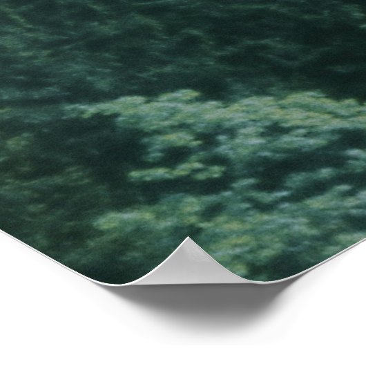 Zoek je eigen land, groen bergbos poster (Hoek)