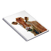 ZOEK KOE NOTITIEBOEK (Rechterzijde)