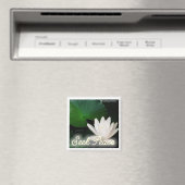 Zoek Vredesmagneet Magneet (Insitu (Vaatwasser))